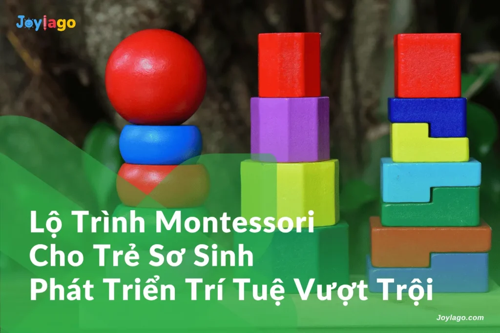 lo trinh Montessori cho tre so sinh phat trien tri tue vuot troi