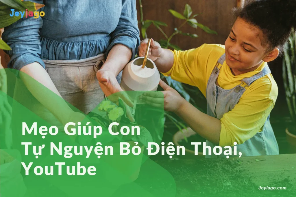 meo giup con tu nguyen bo dien thoai youtube