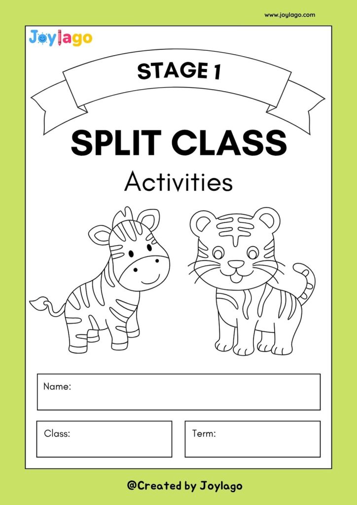 Grade 2 Split Class Activity Booklet in Greyscale Informative Style