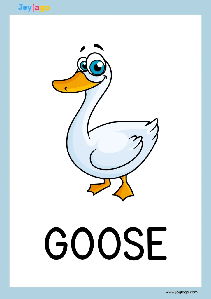 flashcard dong vat trang trai cho be 4