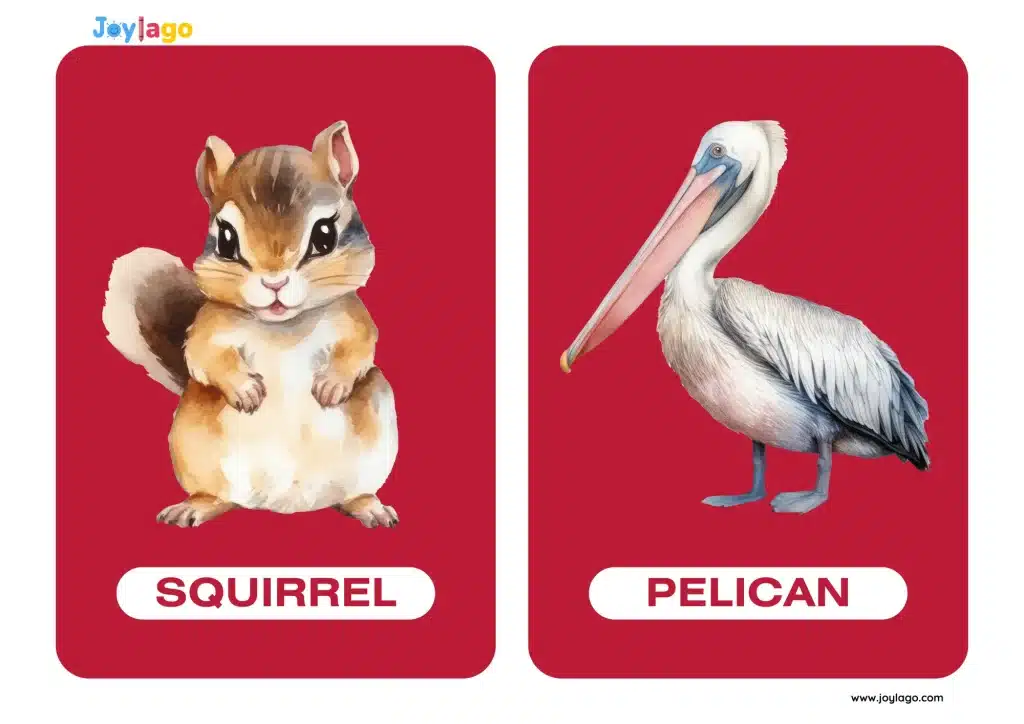 flashcard nhan biet dong vat cho be 10